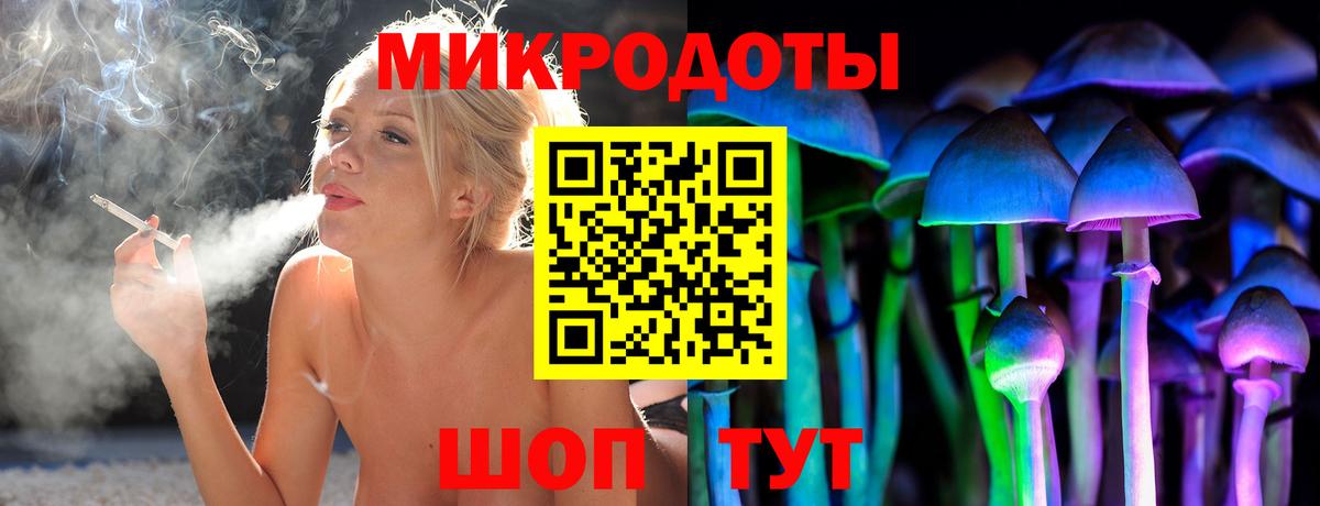 Елабуга  Галлюциногенные грибы Psilocybe  Псилоцибиновые грибы Psilocybe  Вход с VPN 